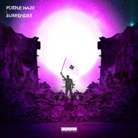 Surrender - Single - Purple Haze