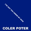 Cole Porter - I'Ve Got You Under My Skin