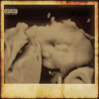 Birth of a New Generation Vol. 1 - Kai Da Kami