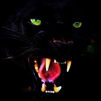 Stay Dangerous - MikeFlo & Lex Boogie from the Bronx