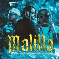 Malilla - Single - Mr. Pimp Music, Bipo Montana & Pistola Bang