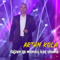 Vajzen qe mendoj kaq shume - Single - Artan Kola