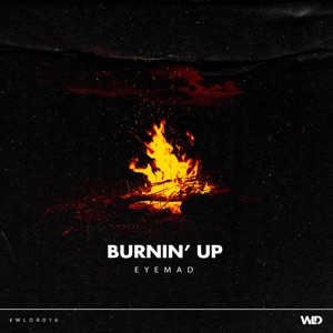 Burnin' Up - Single