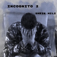 Incognito 2 - Single - Sheik Milz