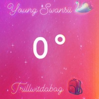 Zero Degrees (feat. Trillwitdabag) - Single - Young Swansii