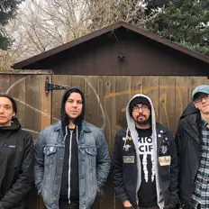 Ascolta Floral Patterns., guarda video musicali, leggi la biografia, vedi le date del tour & altro!