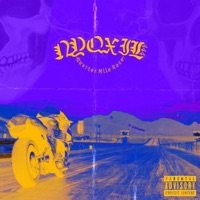 Quarter Mile Race - Nyqxil444