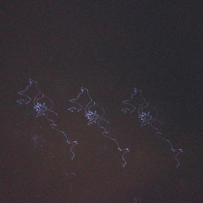 Sidereal Crumbs - EP