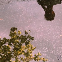 Lights Off (feat. Blake Foster) - Single - Love James