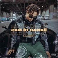 2Am In Hawaii - Single - SKYDIDIT