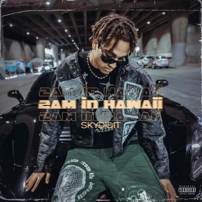 2Am In Hawaii - Single