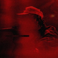 Jungle Fever (feat. Sir Amp) - Single - Diallo Carnal