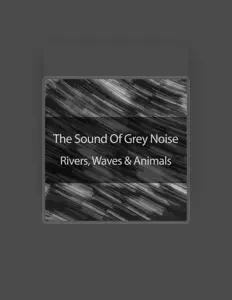 Ascolta The Relaxing Sounds Of Grey Noise, guarda video musicali, leggi la biografia, vedi le date del tour & altro!
