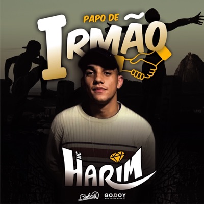 Papo de Irmão - Single