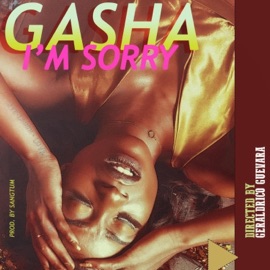 I'm Sorry Gasha