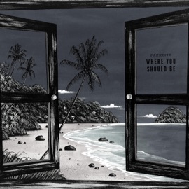 What Are You (feat. Luke-W) Pakkcity