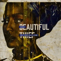 Beautiful Thief (feat. Ogasilachi & Phab) - Single - Kwaejo