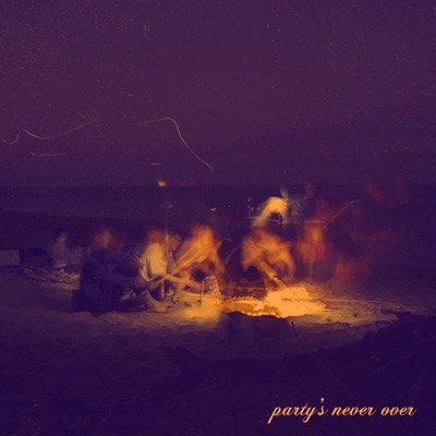 Party's Never Over - Single