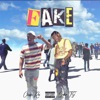 Fake (feat. Cosha TG) - Single