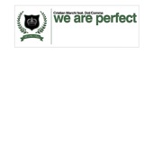 We Are Perfect (Cristian Marchi Instrumental) artwork