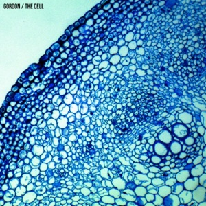 The Cell