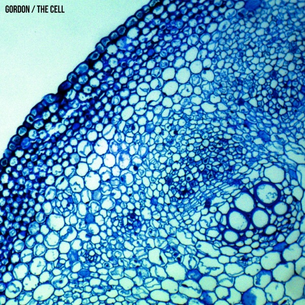 The Cell