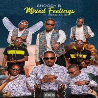 Mixed Feelings (DJ Mix) - Shoody B