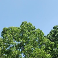 By My Side - Single - Sugiwo