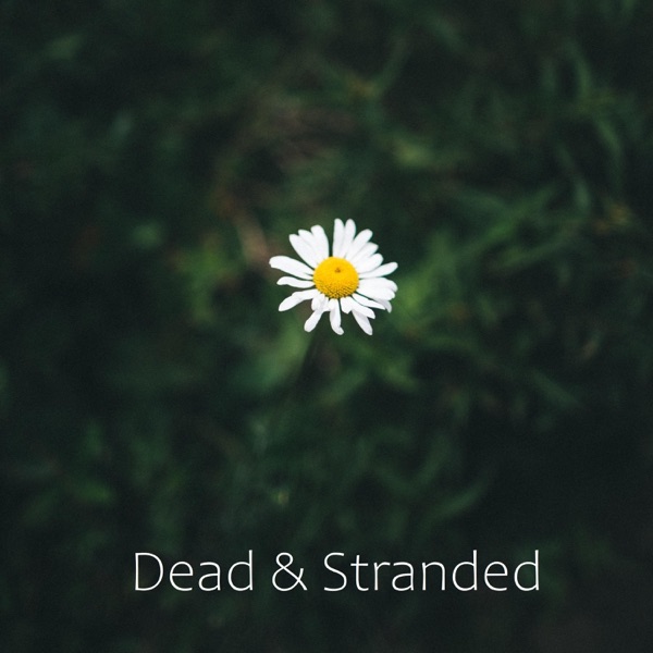 Dead & Stranded