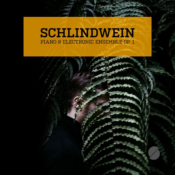 Piano & Electronic Ensemble Op. 1 - Schlindwein