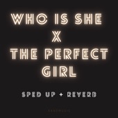 Who Is She X the Perfect Girl (Sped up + Reverb) [Remix] artwork