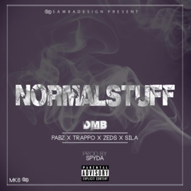 Normal Stuff DMB