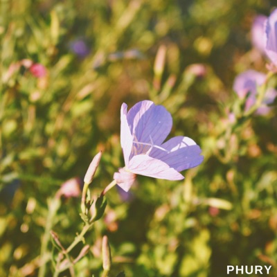 Pink Flower - Single