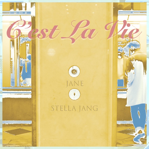 C'est La Vie (feat. Stella Jang) - Single