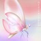 Heartbreaks (feat. 999kev) - SWEETBOYBLONDEY lyrics