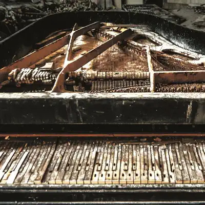 Listen to Kwartet ProForma, watch music videos, read bio, see tour dates & more!