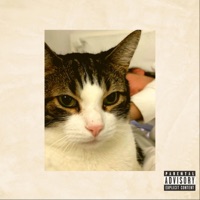 Leo - Walter the 17th