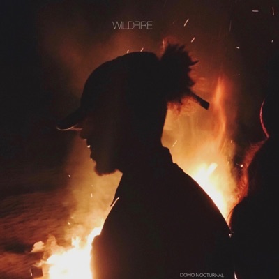 Wildfire - Single
