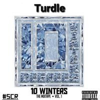 10 Winters - Turdle