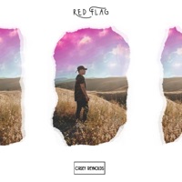 Red Flag - Single - Casey Reynolds