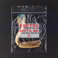 Reptil Boi - Single - Kaktov, Omar Varela & Halpe