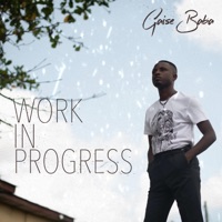 Work in Progress (feat. J Lyricist) - Single - Gaise Baba
