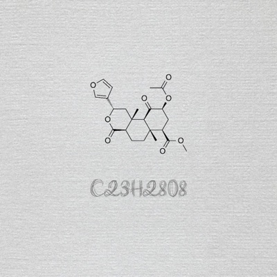 Salvia Divinorum - Single