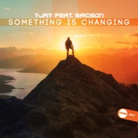 Something Is Changing (feat. Bridson) - Single - T-Jay