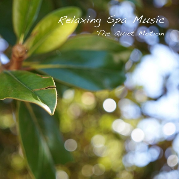 The Quiet Motion - EP