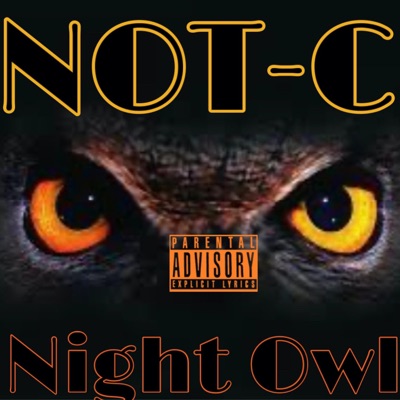 Night Owl - Single