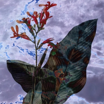 Metamorphosis (feat. Virgogabrielle) - Single