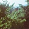 Elsa - Bugseed lyrics