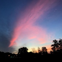 Transitions - Single - bonjr & NeKo