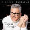 Michele Zarrillo - Nell'estasi o nel fango
